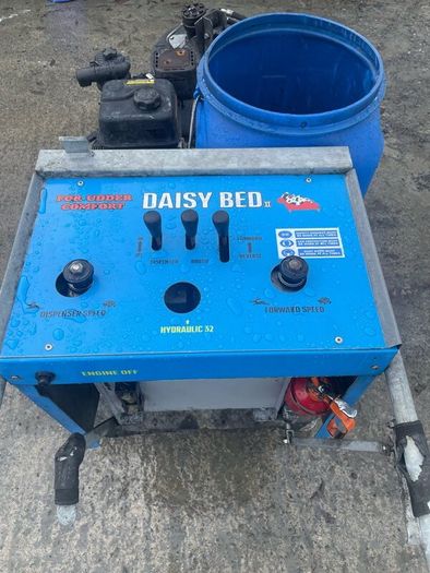 Used Daisy Beds