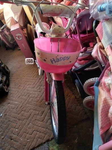 Girls Bicycle