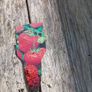 Strawberry Plants Image 2