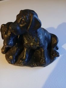 Genesis labrador puppies