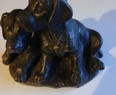 Genesis labrador puppies