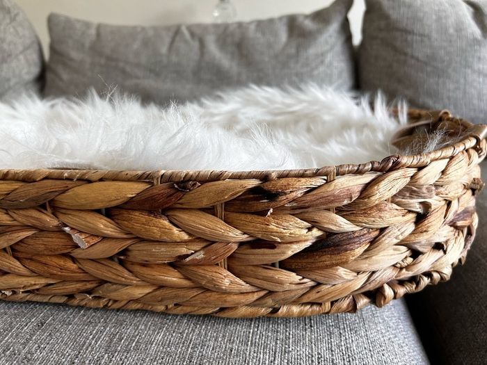baby basket