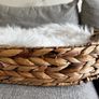 baby basket Image 3