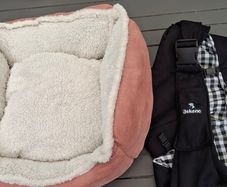 dog hammock and bed