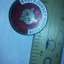 South Dorset hunt club button badge Image 5