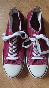 Canvas Trainers  Size 10