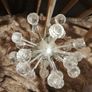 chrome spudnik ceiling lights Image 9