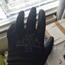 gloves  10 pack Image 2