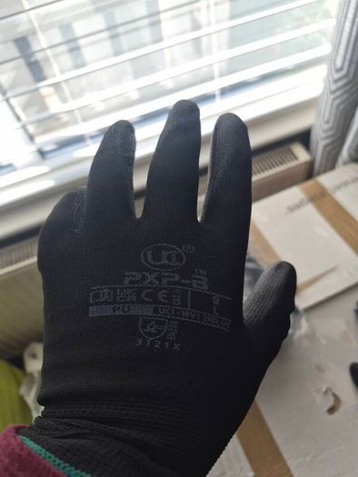 gloves  10 pack