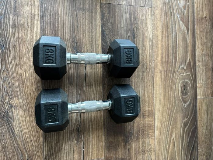 8kg weights