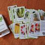 Memory playing cards Image 2