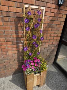 Planter with Trellis