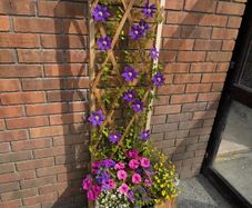 Planter with Trellis