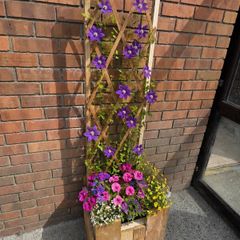 Planter with Trellis