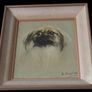 Beautiful Vintage Pekingese Dog Portrait Signed Image 5