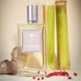 Afinnessence GINGER-LATTE  100 ml new sealed original free gift Image 3