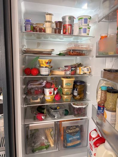electrolux fridge freezer