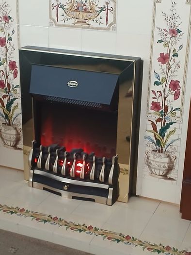 fireplace/electric fire