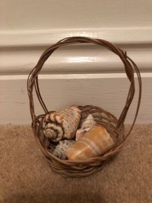 Basket with shells