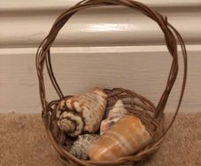 Basket with shells