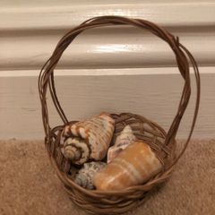 Basket with shells