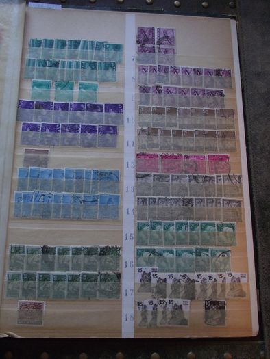 A nice collection of Stamps from India, presented in the stock book