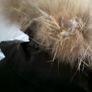 Mens jacket Image 8