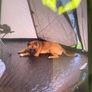 camping Image 2