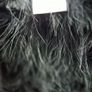 Ostrich feather cape black Image 4