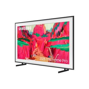 Samsung Frame Pro 65"