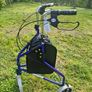 Steel Triwalker Image 3