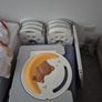 BeZou Sleepy Bear Activity Playpen. Excellent Condition Image 2