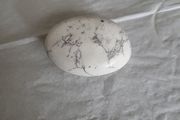 Opal dendritic palm stone