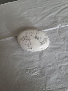 Opal dendritic palm stone