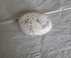 Opal dendritic palm stone
