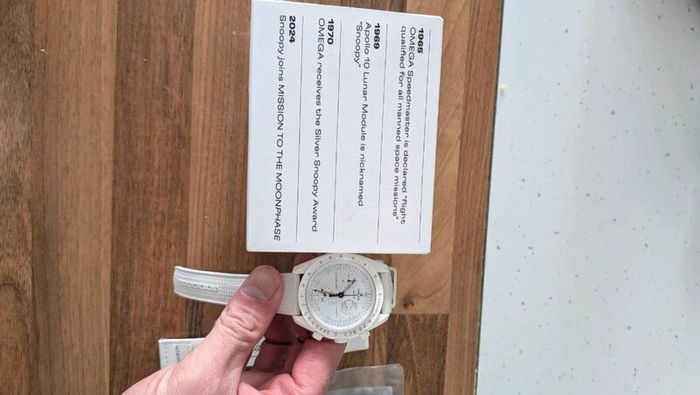 Mission to Moonphase Snoopy Watch