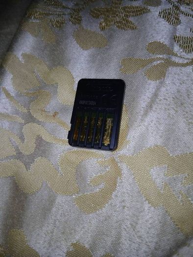 intendo
