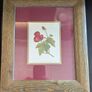 Pierre-Joseph Redoute Botanical Prints Snapdragon Raspberry Framed Pair Image 7