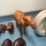 Wooden animals Image 2
