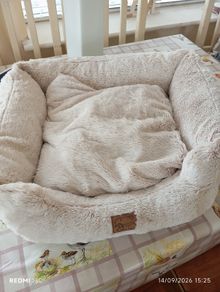 Dogs bed