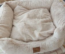 Dogs bed