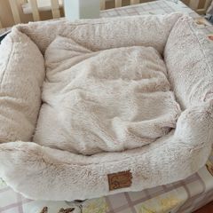 Dogs bed