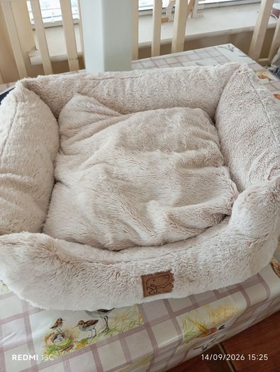 Dogs bed