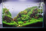 20-50cm Fish tank light with extendable brackets white and blue leds