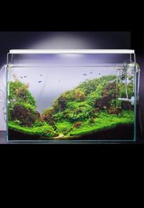 20-50cm Fish tank light with extendable brackets white and blue leds