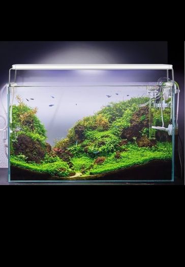20-50cm Fish tank light with extendable brackets white and blue leds