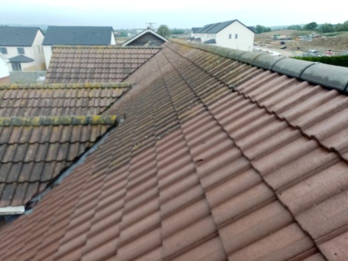 Roof and Gutters Repair, Exterior & Interior Painting, Powerwashing-Cleaning Service