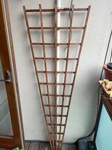 Gardening: Wooden Fan Wall Trellis