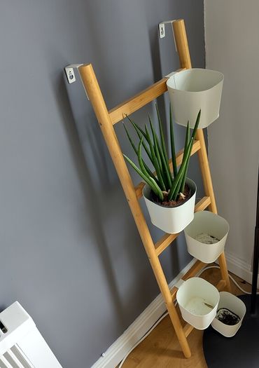 Plant stand