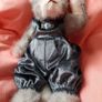 New Cat collectable 1996 Image 9